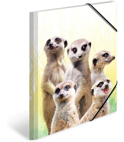 Set HERMA Di 3 Cartelline Portadocumenti Per Bambini, Formato A4, Motivi Animali, Effetto Lucido, Con Elastico E Alette Interne