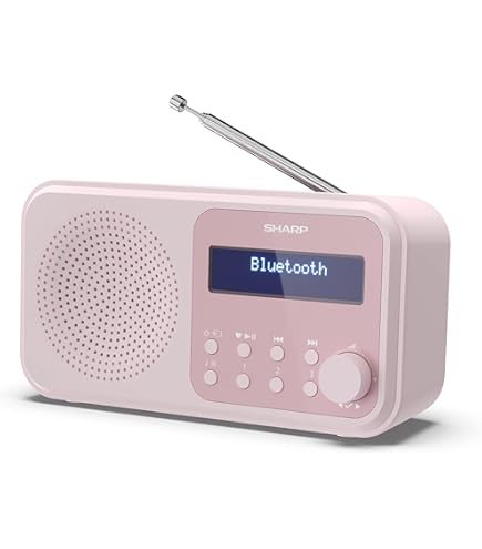 TECHNISAT Transita 130 DAB-radio Groen