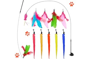 Dunkwckore 13 Pièces Jouet pour Chat, Jeux Jouet Chat Interactif, Interactifs Jouets pour Chaton Chat Kit avec 2 Baguettes Aguicheuses et 1 Ventouse Solide, Jouet à Plumes pour Chats