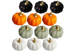 YAAVAAW 12 Stück Herbst Deko Künstlicher Kürbis Kleiner Mischfarbe,Kürbis Deko Gefälscht Schaum Herbstdekorationen für Zuhause Thanksgiving Dekoration,Halloween,Tischdeko,Partydekoration,Hochzeit,DIY