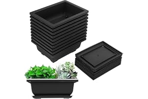 Roundsky 10 Paquetes de macetas de Entrenamiento de bonsái Bandeja de plástico bonsái para jardín, Patio, de Estar, balcón, 16,5 x 12 cm