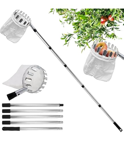 Raccoglifrutta Telescopico 2,4m - Palo In Acciaio Inox Per Mele E Pere - Foto 7