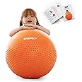 BABYGO® Sensory Exercise Ball | Peanut Ball for Kids Children | Autism Therapy Calming Development Activities Motor Skills | Exercise Book & Pump Included