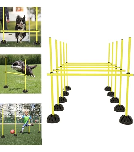 Agility Dog PawHut Set Per Addestramento Cani Con Ostacoli IT