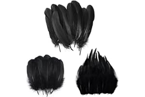 SNBUHA Lot de 300 Plumes Noires, Plume Décorationen, Plume Naturelle pour Décoration De Table, Attrape-Rêves, Boucles d'oreilles, Bricolage, Mariage, Décoration Activités Pâques(3 Sizes 6-17CM)