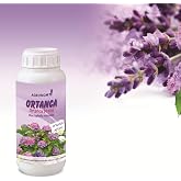Ortanca i&ccedil;in &Ouml;zel Form&uuml;l Bitki Besini, &Ccedil;i&ccedil;ek &Ccedil;oşturan, Sıvı G&uuml;bre-Y&uuml;ksek kalite (100cc)