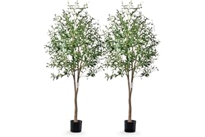 Leflos 180 cm di ulivo artificiale strapazzato, Alberi artificiali solo per uso interno, con tronco vivo, rami regolabili e olive turgide, 2 pezzi