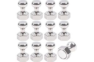 Aenienoe Magneti Neodimio Calamita Potente Calamite Frigorifero Calamite per Lavagna Magnetica Bianca,Bacheca,Ufficio,Scuola,Calamita Potente 12Pezzi