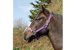 Rhinegold Medidor de Nailon