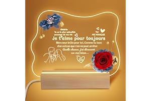 Yamonic Rose Eternelle Cadeau Saint Valentin Femme,LED Veilleuse en Acrylique Cadeau Femme Original Utile, Fleur Eternelle Cadeau Anniversaire Femme,Lampe de Nuit Cadeau Femme,Idee Cadeau Femme
