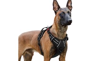 rabbitgoo Uprząż dla dużych psów, regulowana uprząż dla psa, bez ciągnięcia i uduszenia, uprząż dla psa z uchwytem, miękko wyściełana, odblaskowa uprząż piersiowa, czarna, XL