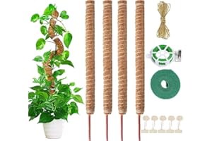 AIQII 4 Pack 70cm Pflanzenstab Moosstab Monstera Rankhilfe Biegsame Moosstab Monstera Stab Pflanzstab Monstera für Kletterpflanzen Pflanzenname Pflanzzeit Pflanzenunterstützung