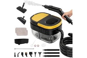 Bärbar ångtvätt, 2 500 W, kraftfull ångtvätt för hemmet, 3 justerbara hastigheter, 17 tillbehör, 1 600 ml vattentank, 4 bar t