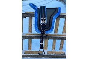 Equipride Bareback Selle d'équitation pour poney avec étriers et sangle Bleu glacier