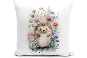 HUASHUZI Cushion Cover Hedgehog Gifts for Women Hedgehog Animal Ornament Decorations Throw Pillow Case Decor Home for Livingroom Couch Sofa 18"x18"(45x45cm)