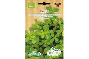 Germisem Bio Graines Pourpier doré à larges feuilles DORE