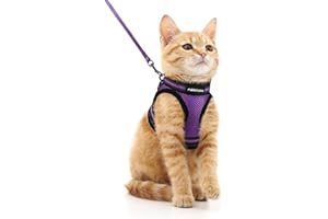 rabbitgoo Pettorina per Gatti con Guinzaglio, Imbracatura per Gatti Extra Piccoli, Set di Pettorina per Cuccioli, Regolabile Ultra-Leggero Morbido per Passeggio, Corsa(M, Viola)