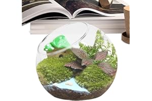 FUKAMOU Terrarium Glass | Round Glass Terrarium Container,Glass Slanted Mouth Plant Container Vase, Air Plant Holders Tank for Landscape