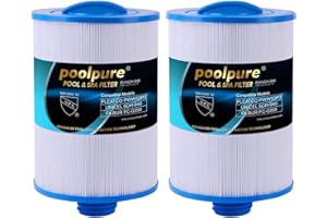 POOLPURE Spa Filter, Whirlpool Filter Replacement for Unicel 6CH-940, Pleatco PWW50P3, PWW50-P3, Filbur FC-0359, Waterway Plastics 817-0050, 25252, 378902, 03FIL1400 (Pack of 2)