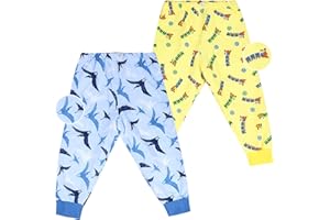 FLYISH DIRECT Culotte Apprentissage Propreté Garcon 2 Packs, Culotte de nuit Enfant Lavable, Jupe de Couche Imperméable Coton, Anti-fuite Jupe Apprentissage Propreté 3-5 ans, Train Pterosaur, M