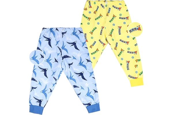FLYISH DIRECT Culotte Apprentissage Propreté Garcon 2 Packs, Culotte de nuit Enfant Lavable, Jupe de Couche Imperméable Coton, Anti-fuite Jupe Apprentissage Propreté 5-7 ans, Train Pterosaur, L