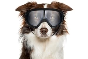 Hpmjz Dog Sunglasses Dog Goggles UV Wind Dust Fog Protection Pet Glasses Eye Wear for Medium to Large Breed Transparent Goggles Windproof Outdoor Riding with Adjustable Strap Easy Put-on Cool Black