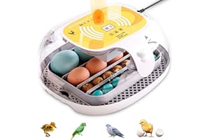 CHIKERS Brutautomat Vollautomatisch für Geflügeleier - Brutmaschine für 12 Eier - Inkubator hühner mit automatischem Rotationssystem und Temperaturkontrolle - Für Geflügel, Hausgebrauch und Geschenke