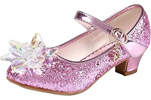 Eleasica Fille Cristal Fleur Chaussures de Princesse Reine des Neiges Elsa Anna Talons Plats Paillettes Déguisement Argenté Bleu Rose Doux Halloween Noël Anniversaire Carnaval Cosplay