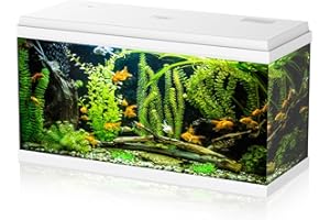 Aqpet Acquario in Vetro per Pesci tropicali Completo di Accessori Filtro Luce Simply, 100 80x32x47 cm 100 Litri, Bianco