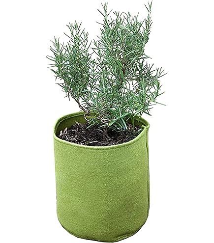 Vaso/floreira Jardim 2 Pcs Hexagonal 46x40x45 Cm Aço Antracite