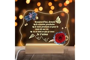 Miofula Cadeau Anniversaire Femme Homme, Rose Éternelle Cadeau Saint Valentin Femme, LED Veilleuse en Acrylique Cadeau Noël pour Amoureux, Mari, Petite Amie, Couple, Cadeau Anniversaire de Mariage