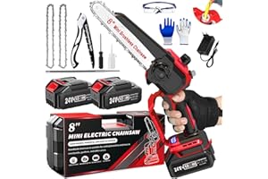FIUTAZGE Mini Motosega a Batteria 8 Pollici, Motosega a Batteria per Potatura con 2 Batterie da 4,0Ah, Sega a Batteria per Potatura con Pompetta Olio e Tendicatena Senza Attrezzi (Rosso)