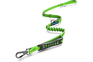 Iokheira Bungee Cane Conduce forte guinzaglio cane assorbire gli urti con 2 comode maniglie imbottite auto cintura di sicurezza fibbia, regolabile corda guinzaglio cane per piccoli cani medi grandi