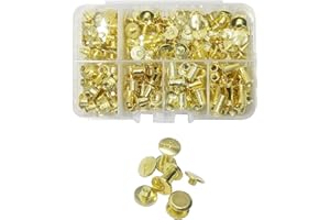 JXPXJMY 80 Pezzi Chicago Viti di Rivetti in Acciaio al Carbonio per Rilegatura, Usati per Rilegatura, Bagagli e Borse, Rivetti per Riparazione di Pelle, Dimensioni M5*4/6/8/10 mm (Oro)