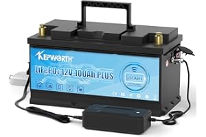 DEESPAEK Batería de Litio de 12V 100Ah con Bluetooth, baterías Recargables de Ciclo Profundo LiFePO4 con protección BMS de 100 A, para Kit de Panel Solar, Marino, Motor de Arrastre, Caravana, RV, Barco