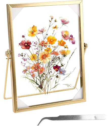 Cadre Photo Doré 10x15 Cm Avec Verre Trempé - Idéal Pour Fleurs Séchées, Photos Et Spécimens