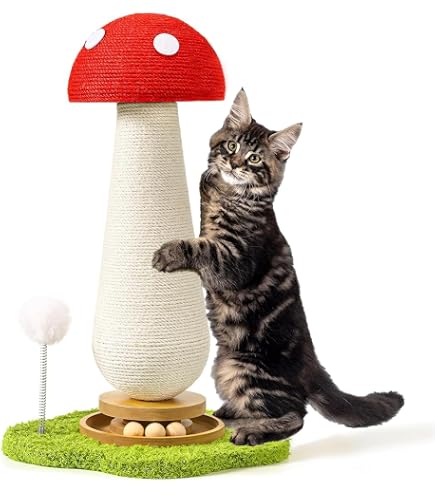 Outdoor Cat Scratch Pole For Cats Cat Scratching Post, Mushroom Cat  Scratcher With Interactive Ball Track Spring Ball Cat Toys,Durable Cute  Sisal Cat Scratchers Post For Indoor Cats Adults Kitten With ...