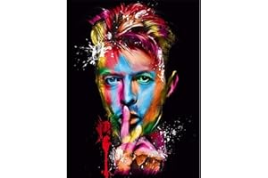 YUNLINZI DIY Paint by Numbers for Adults Beginner David Bowie Colored Portraits 16 x 20 inch Oil Painting with Brushes and Acrylic Pigment Toy Hand-Painted Gift Wall Art Decor -with Frame
