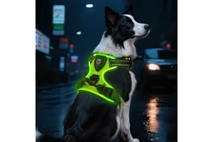 AUAUY Uppladdningsbar LED-hundsele, Ljusande Hundsele, Justerbar, Med Handtag, Andningsbar, Mjuk ch Förtjockad Säkerhetsväst