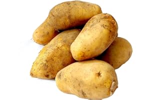 ‎LAMERA Fresh Sieglinde Boiling Food Potatoes Potato 5 kg New Harvest from Bavaria Firm Cooking Salad Potato for Grilling Potato Salad Jacket Potatoes Fried Potatoes Chips