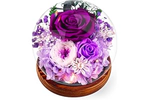 TOULOUBE Regali Natale - Rosa Viola Stabilizzata Vera Regalo Donna, Avanzate Regalo, Eterna Fiore con Luci LED, Idea Perfetta per Compleanno, Anniversario, Festa della Mamma, Dedica a Mamma, Nonna e Fidanzata​