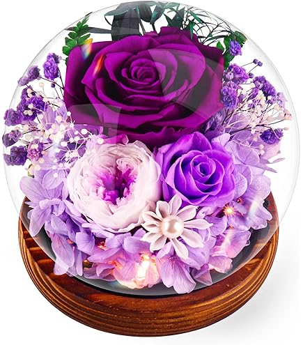 Rosa Eterna In Cupola Di Vetro Con LED – Emibele, Regalo Per La Festa Della Mamma, Anniversario O San Valentino, Colore Rosso, Durata 3-5 Anni