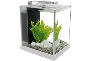 Askoll 280270 Fluval Acquario Spec Bianco 10 L 27, 5 X 22, 3 X 30 H