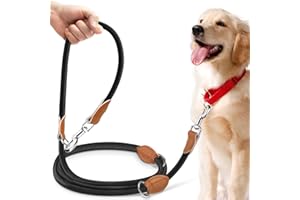 PETCOOZ Hundeleine 3 M Verstellbare Schleppleine für Mittel- & Großhunde(15-60kg), Reflektierende Freihandleine mit 2 Karabiner, Doppelleine aus Robustem Nylon, 200 kg Extreme Kraft