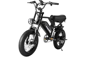 ‎VDL VDL E Bike Elektrofahrräder-Ebike mit 36V 13Ah Herausnehmbare Batterie, E-Bike 16 * 3.0 Zoll Fette Reifen, Off-Road Mountainbike, Elektrofahrrad Herren Damen Elektro Fahrrad mit LCD-Display