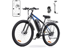 OneSportWay DUOTTS C29 Vélo Électrique, E-Bike Batterie Amovible 48V 15Ah et Moteur 250W, VTT électrique 21 Vitesses Professionnelles avec Écran LCD, Banlieue Électrique pour Hommes et Femmes