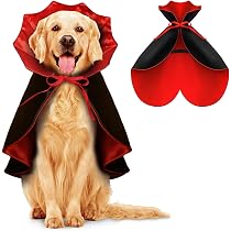 Fledermaus-Flügel-Kostüm Für Hunde – Halloween, Cosplay & Partys Für Kleine Bis Große Hunde