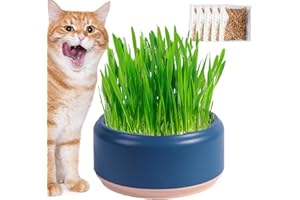 Storaffy Sembradora hidropónica Hierba Gato | Cat Grass Pot para Gatos Interior | Macetas para Plantas Cultivo Hierba Gato | Bocadillos para Gatos sin Tierra Cuencos Cultivo hidropónico bandejas