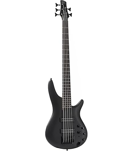 Ibanez Bass Guitar SR Gio series 4 string GSR200B-WK : Amazon.in