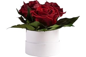 ‎ROSEMARIE SCHULZ HEIDELBERG ROSEMARIE SCHULZ Heidelberg Infinity Rosenbox weiß rund konservierte Blumen Dunkelrot - 3 Infinity Rosen Durchmesser 15 cm - Blumenstrauß versenden (Burgundy, Medium)